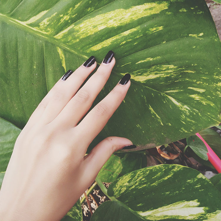 Serenity-Nail-Spa---Columbia---TN-38401---No.08